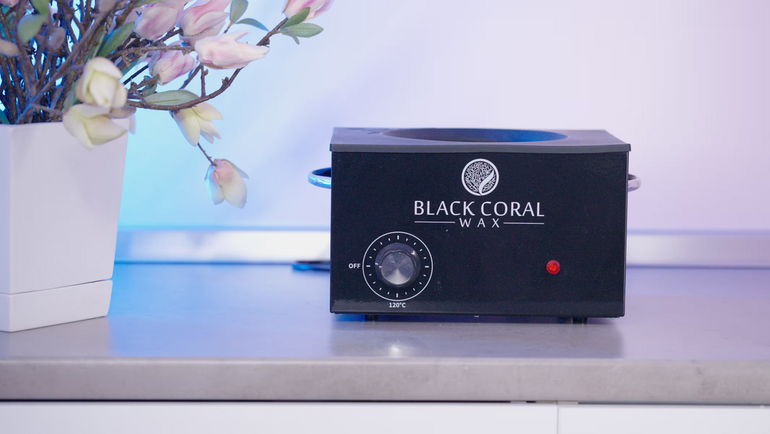 Single or Double Wax Pot Warmer: Which Size Do You Actually Need?