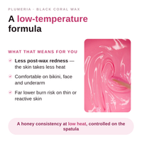 Plumeria low-temperature hard wax formula infographic